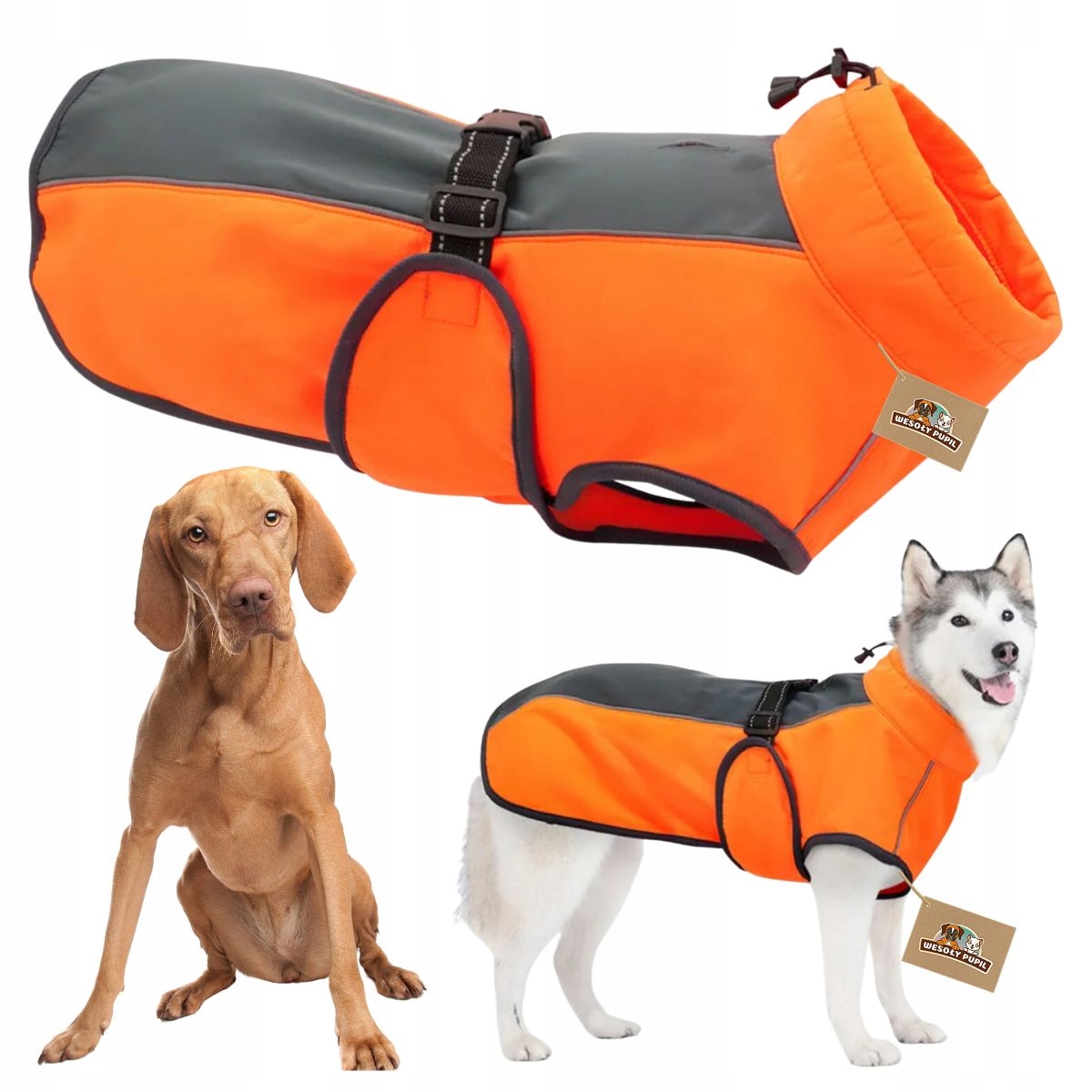 Levně Obleček pro velkého psa hřejivý Softshell voděodolná odrazka na zimu XL 60cm