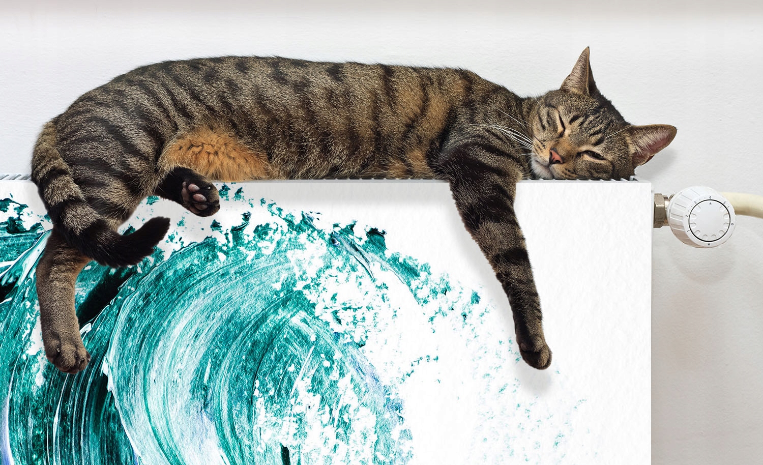 MAGNES MATA MAGNETYCZNA NA KALORYFER 100x60 OBRAZ FOTOTAPETA Rodzaj produkt gotowy