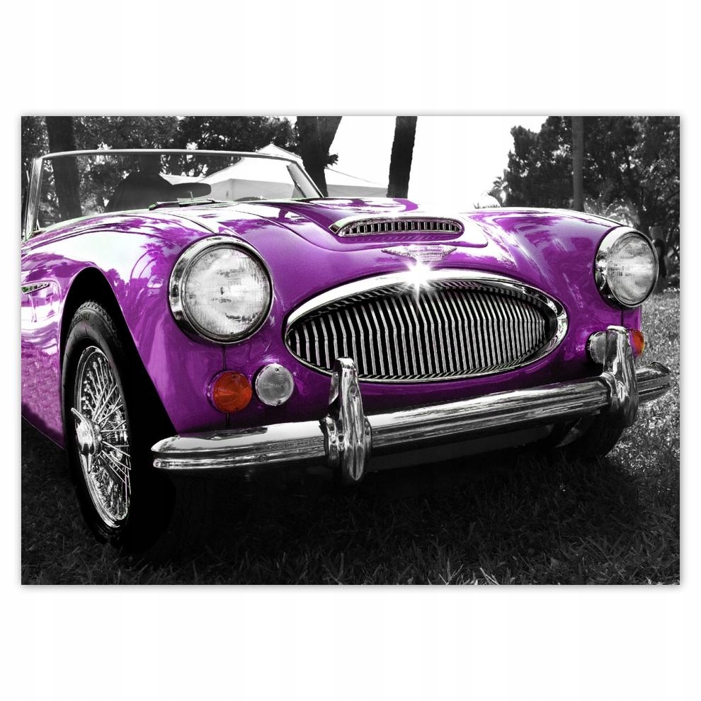 

Plakaty 70x50 Austin Healey 3000