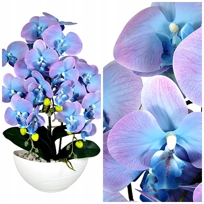 Storczyk Niebieski Sztuczny Ombre Błękit Różowy Bardzo Ładny Kolor