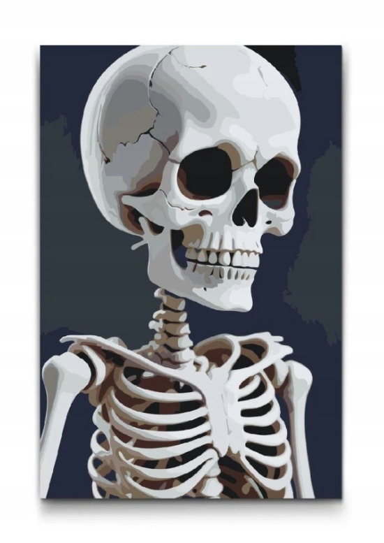 Malování Podle Čísel Halloween portrét Kostlivec Lebka kosti 40x60cm