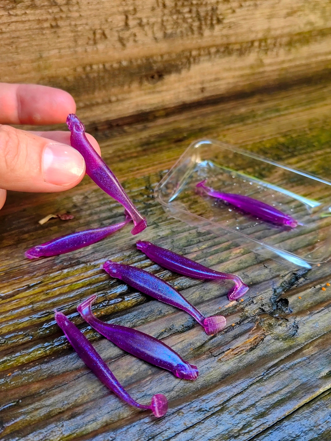 7 szt zapachowe Kopyto 55 mm killer na Okonie #141 Rodzaj kopyto