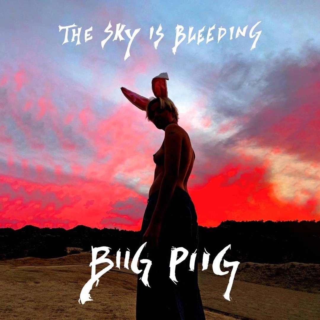 BIIG PIIG The Sky Is Bleeding LP 15215756947 - Sklepy