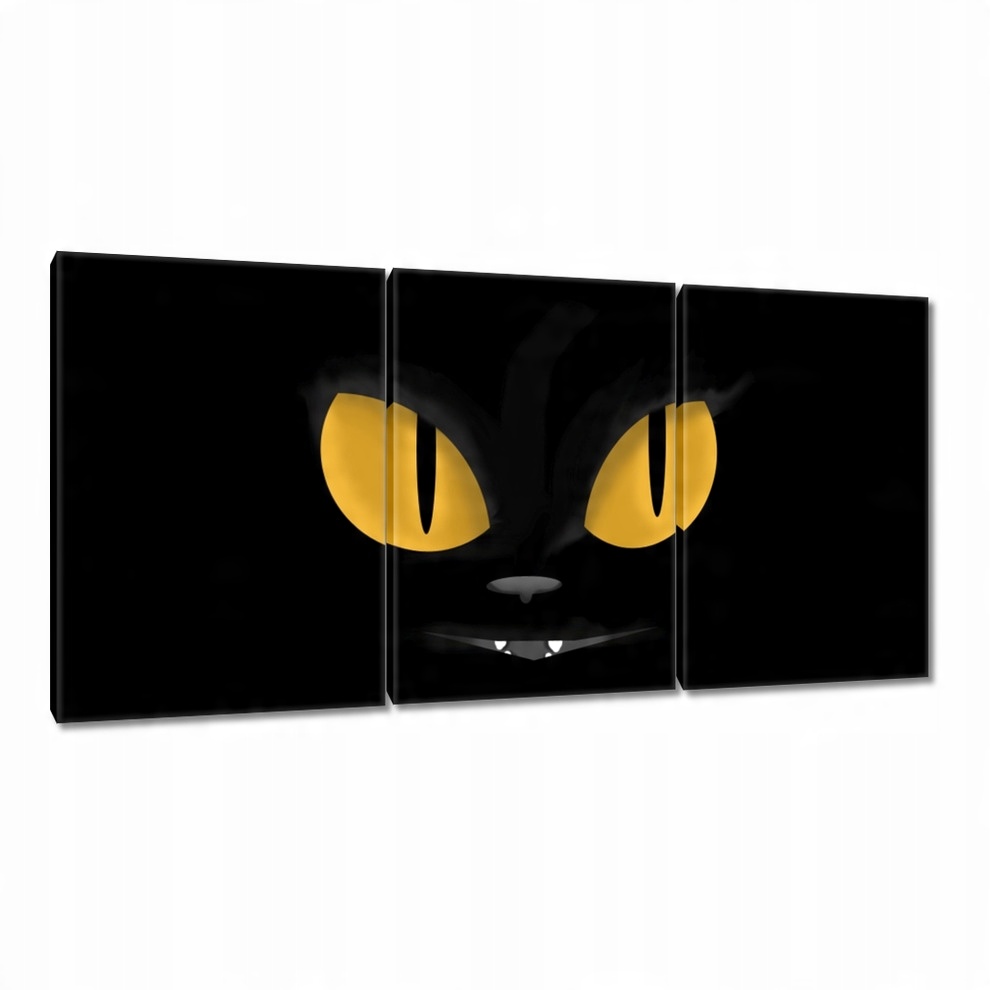 

Obrazy 120x60 Kotek Kotki Koty Kicia