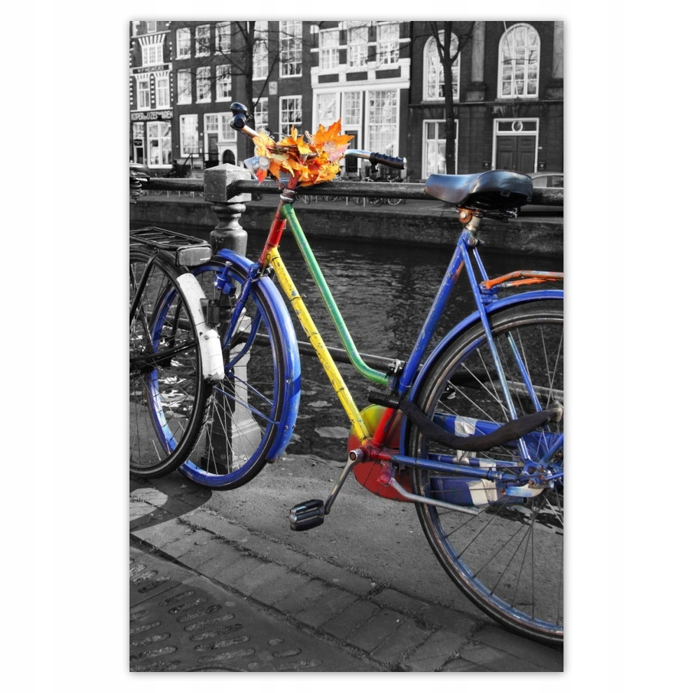 

Plakaty 62x93 Jesienne liście