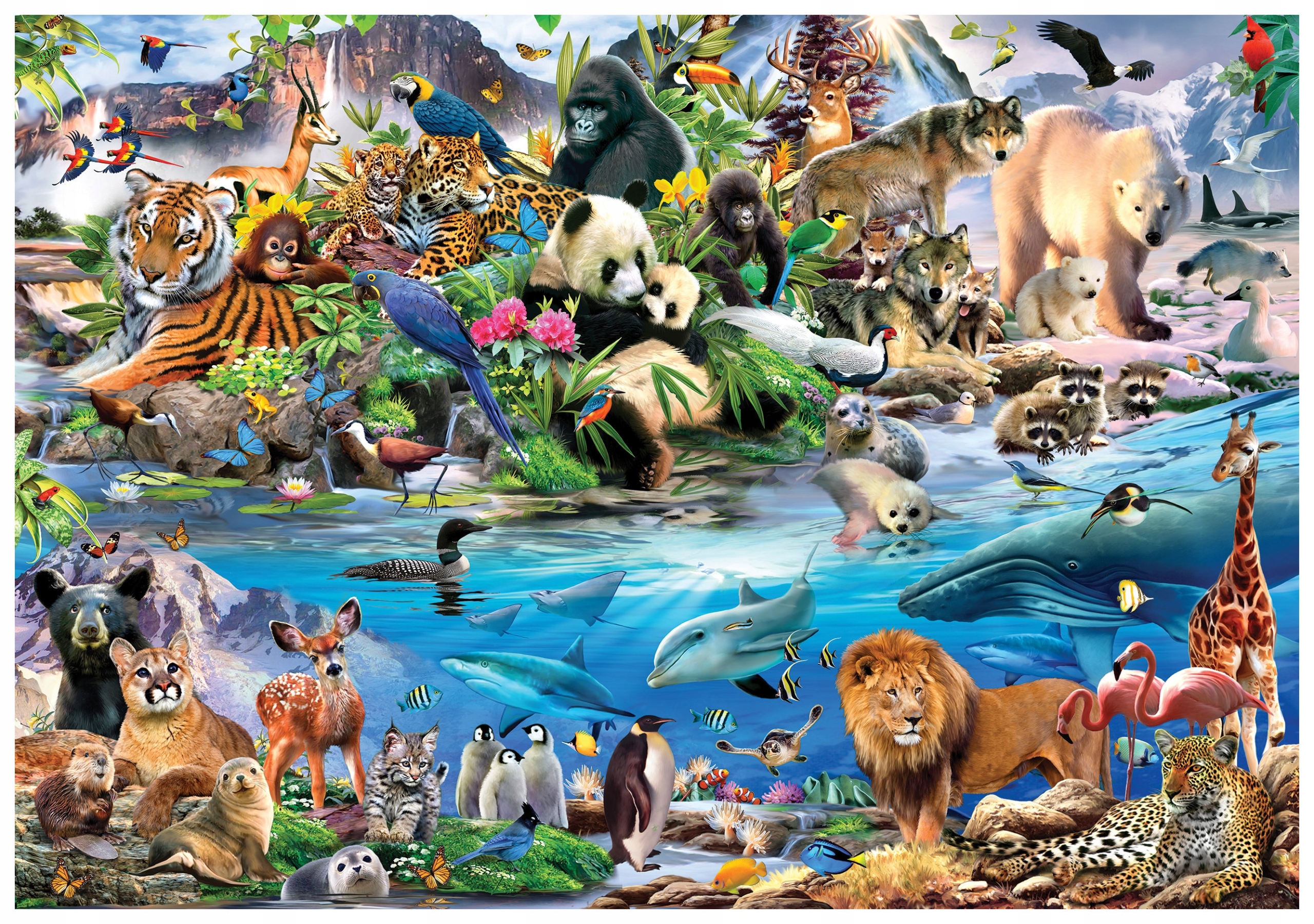 Fototapeta Džungľa Ocean Hory Zvieratá Rastliny 368x254 ekosystém lepidlo