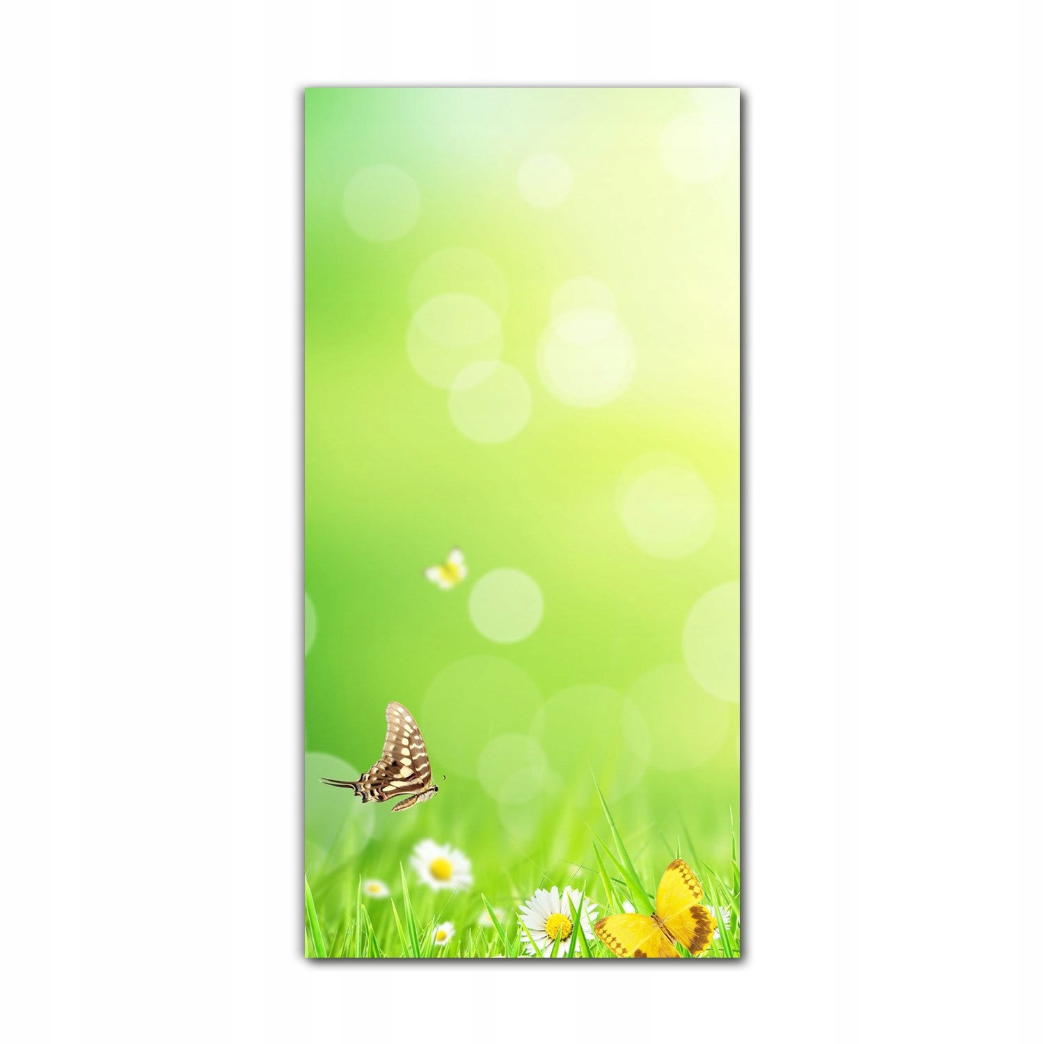 

Foto-obraz ścienny grafika 70x140 cmKwiaty motyle