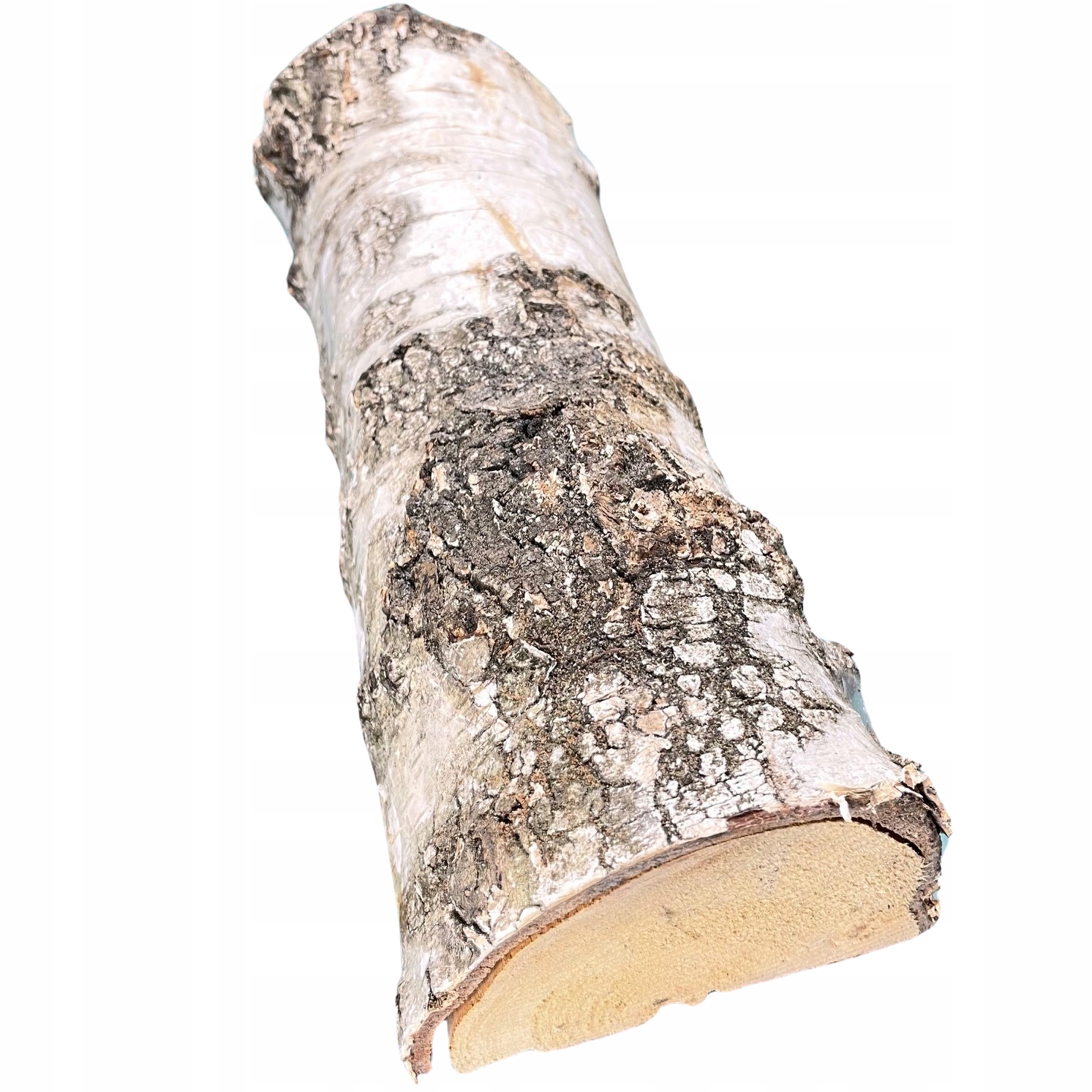 BRZOZA drzewo do kominka na ognisko na grill 1KG