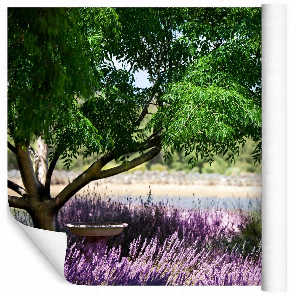 

Fototapeta lawenda przyroda widoki salon 120x180