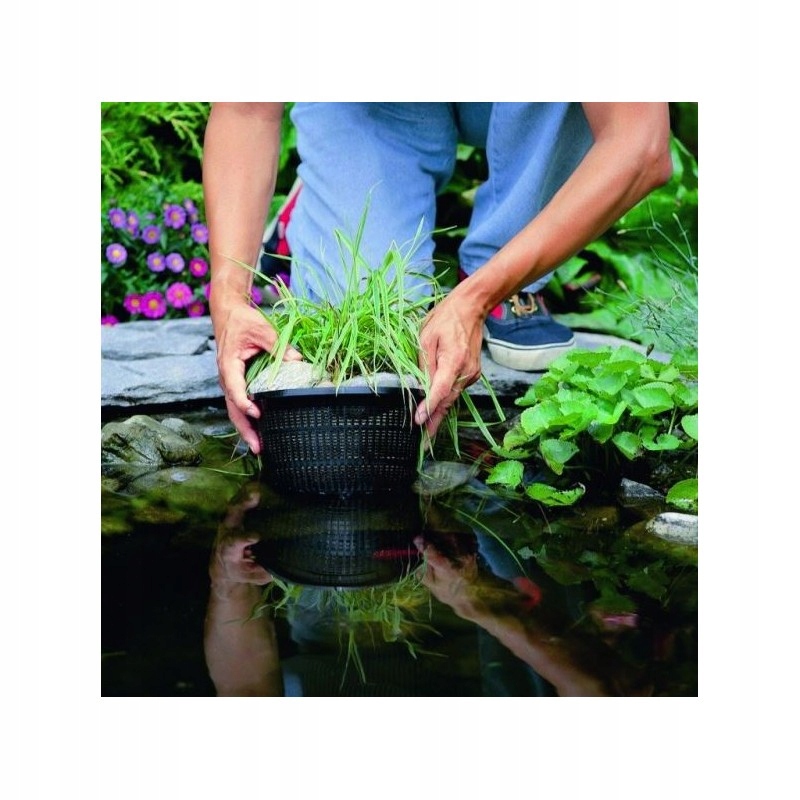 DONICZKA KOSZ DLA ROŚLIN WODNYCH KWADRAT 28x28x19cm Marka Happet