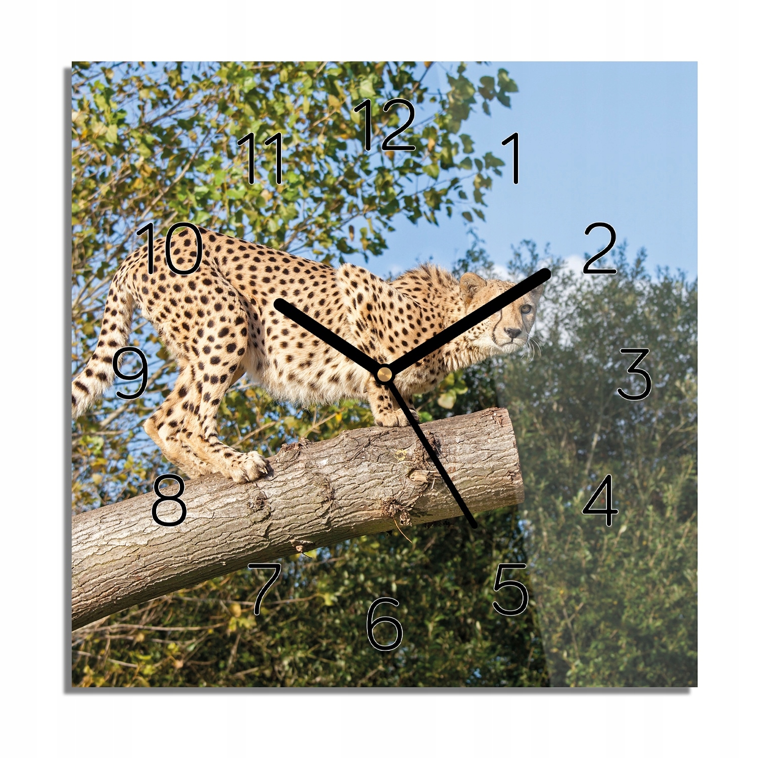 

Gepard gałąź drzewo zegar na szkle na ścianę 30x30