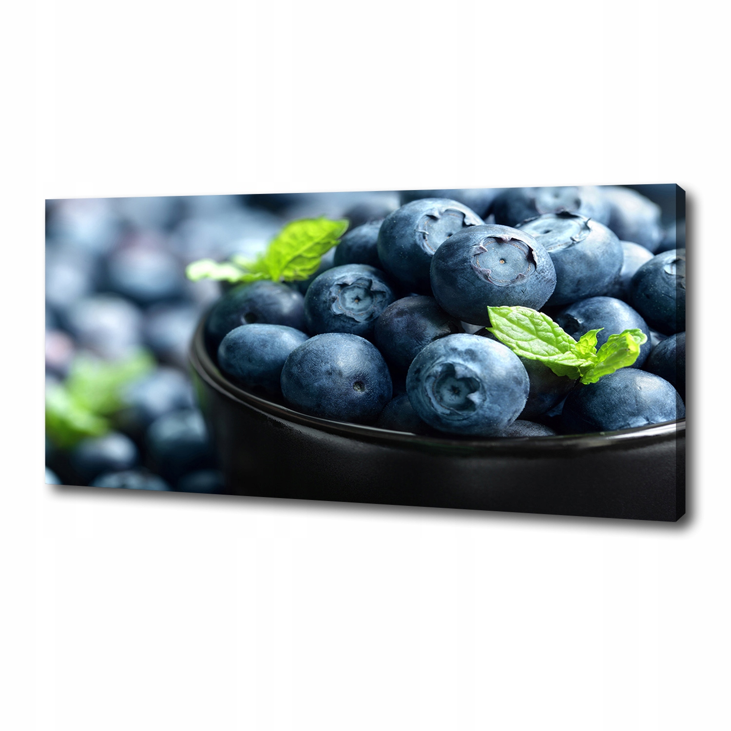 Foto obraz velký canvas na zeď Borůvky 125x50 cm