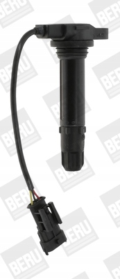 Zapalovací cívka BorgWarner (beru) ZS443