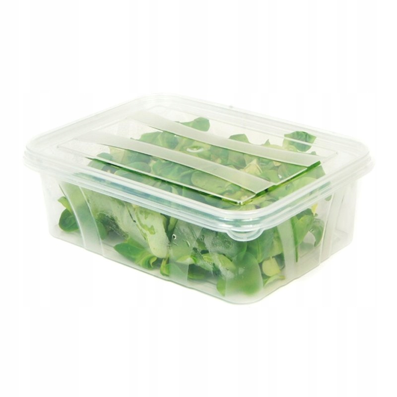 

Pojemnik do żywności pojemniki do lodówki 1,2L