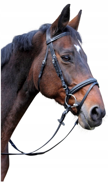 Ohlávka Pro Koně Classic Černá Cob Covalliero