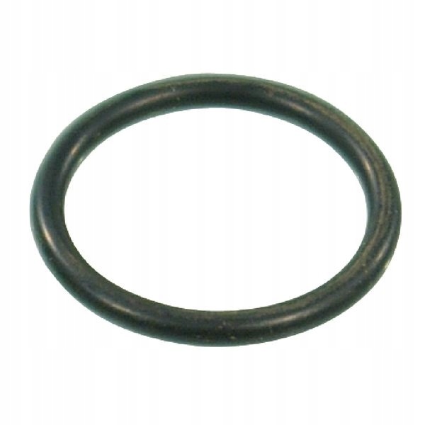 

Pierścień uszczelniający oring 20,2x2,6, 1"