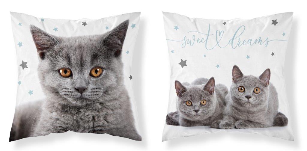 

Poszewka Dwustronna 40x40 Kot Koty Cat Zwierzęta