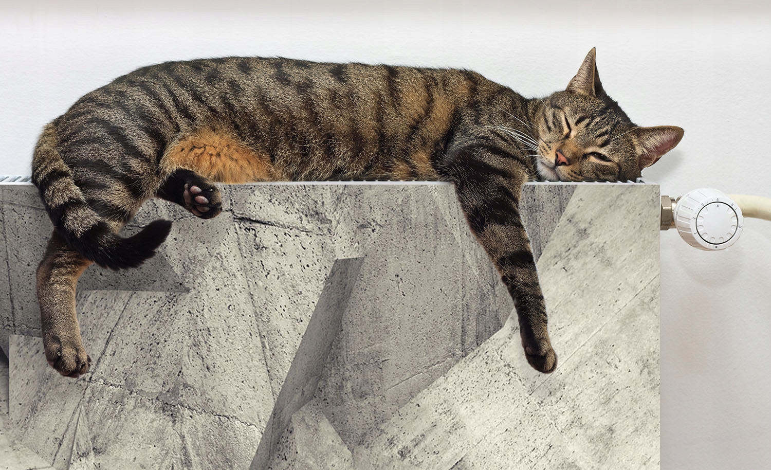 MAGNES MATA MAGNETYCZNA NA KALORYFER 160x60 SKAŁA FOTOTAPETA Kod producenta Mata na kaloryfer M06