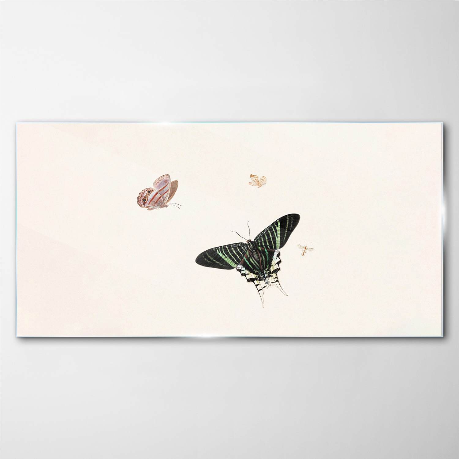 

Obraz szklany z nadrukiem Owad motyl 100x50 cm
