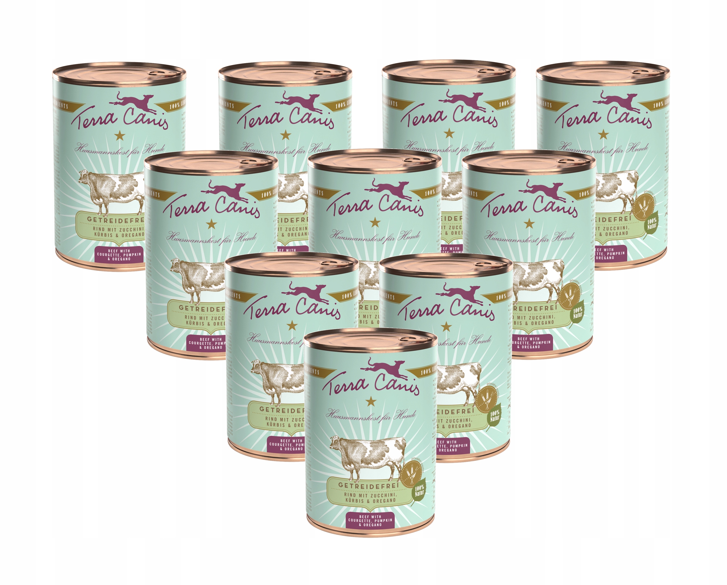 Terra Canis – Hovězí maso s cuketou a dýní 10x400 g