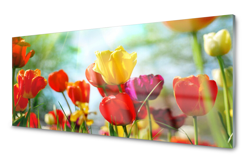 

Panel szklany do kuchni Płytka Kwiaty 125x50