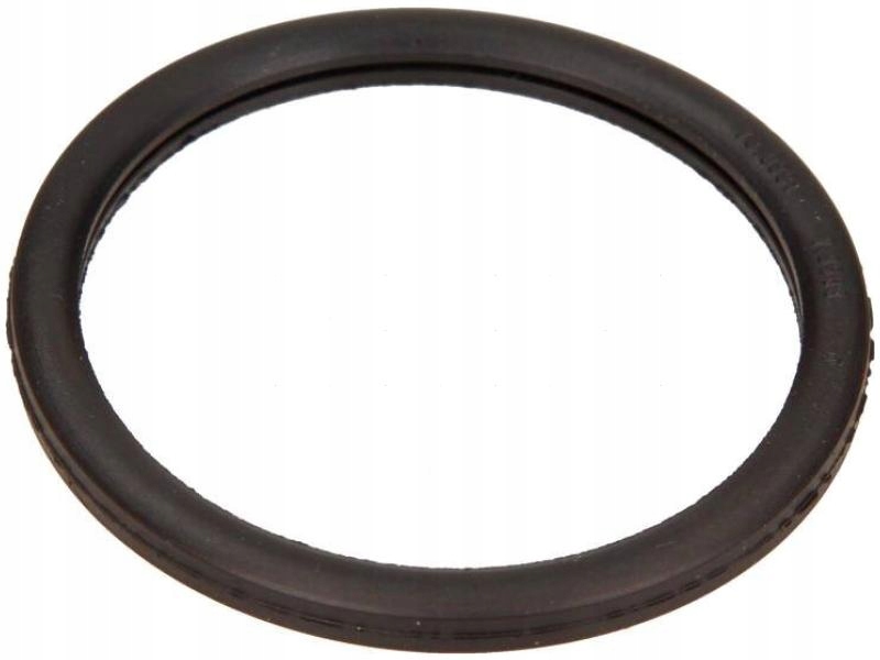 USZCZELKA TERMOSTATU RENAULT MEGANE III I LATITUDE KANGOO I II