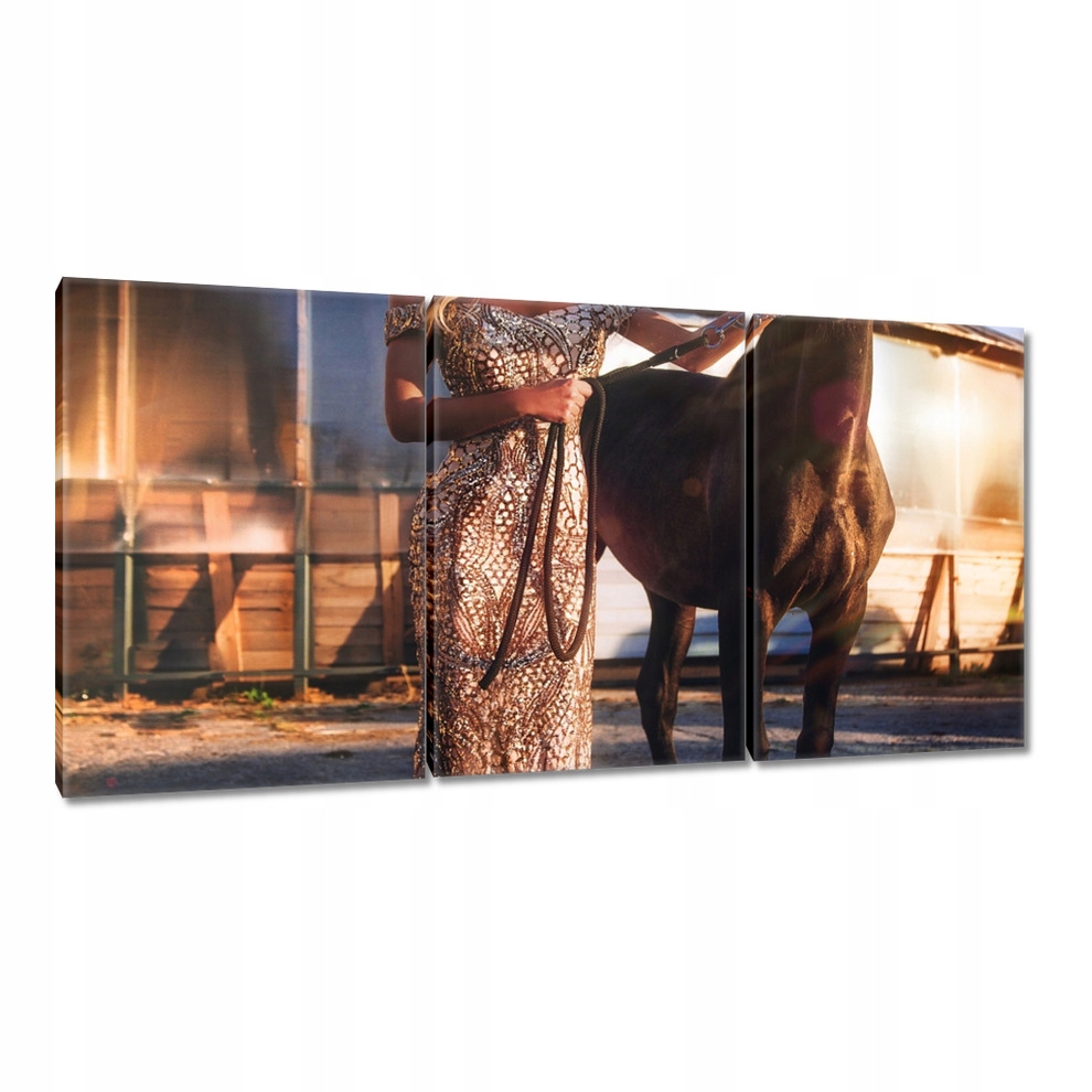 

Obrazy 120x60 Koń Konie Jeździectwo