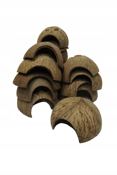 

Kryjówka kokosowa średnica 8-11 cm #SpidersFactory