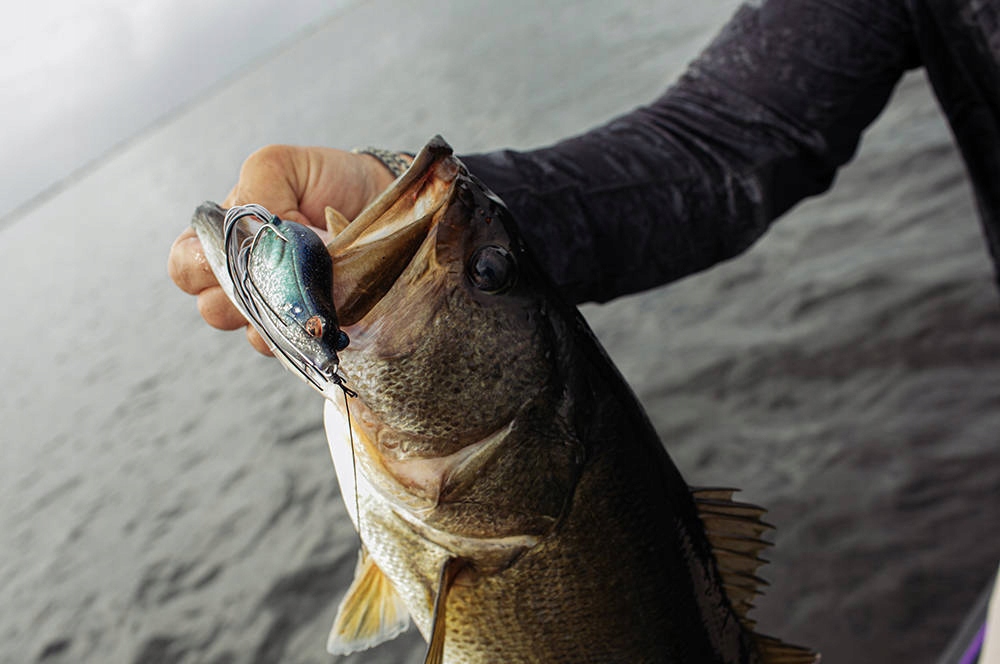 POWIERZCHNIOWA PRZYNĘTA SG HOP POPPER FROG Marka Savage Gear