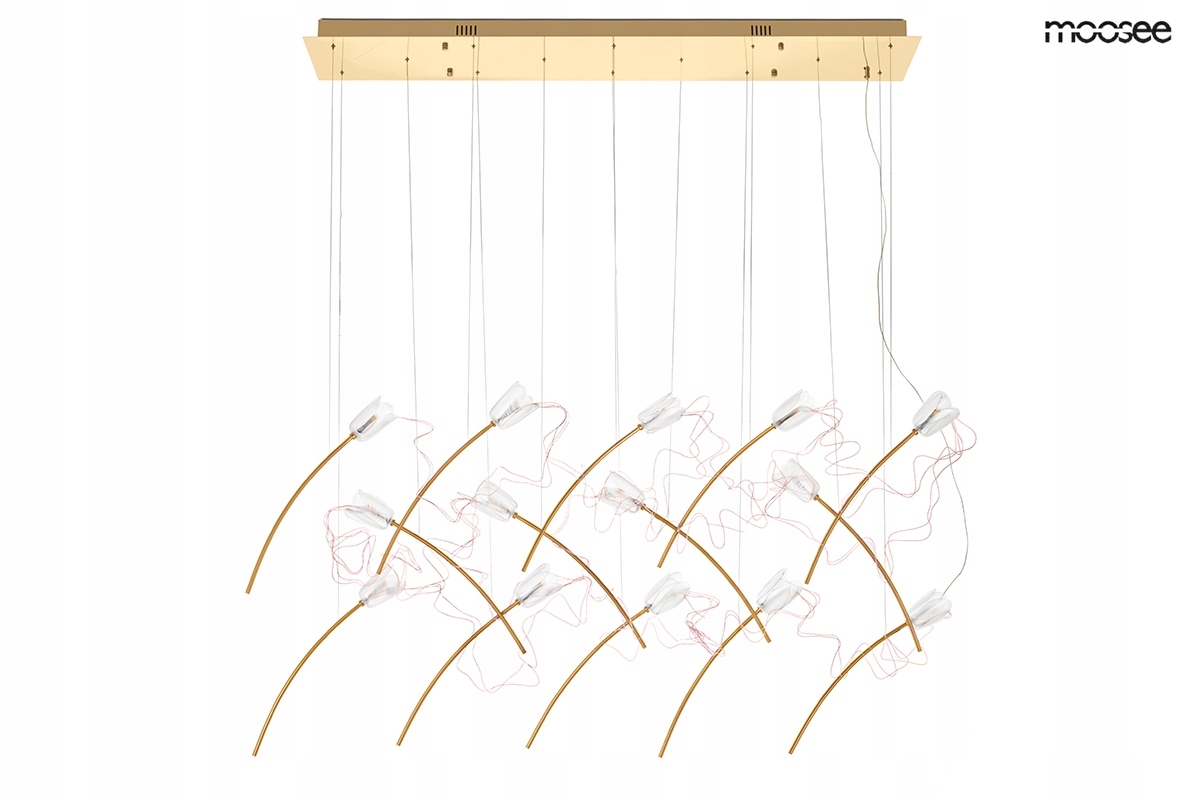 Moosee lampa wisząca Tulippe 14 Line złota