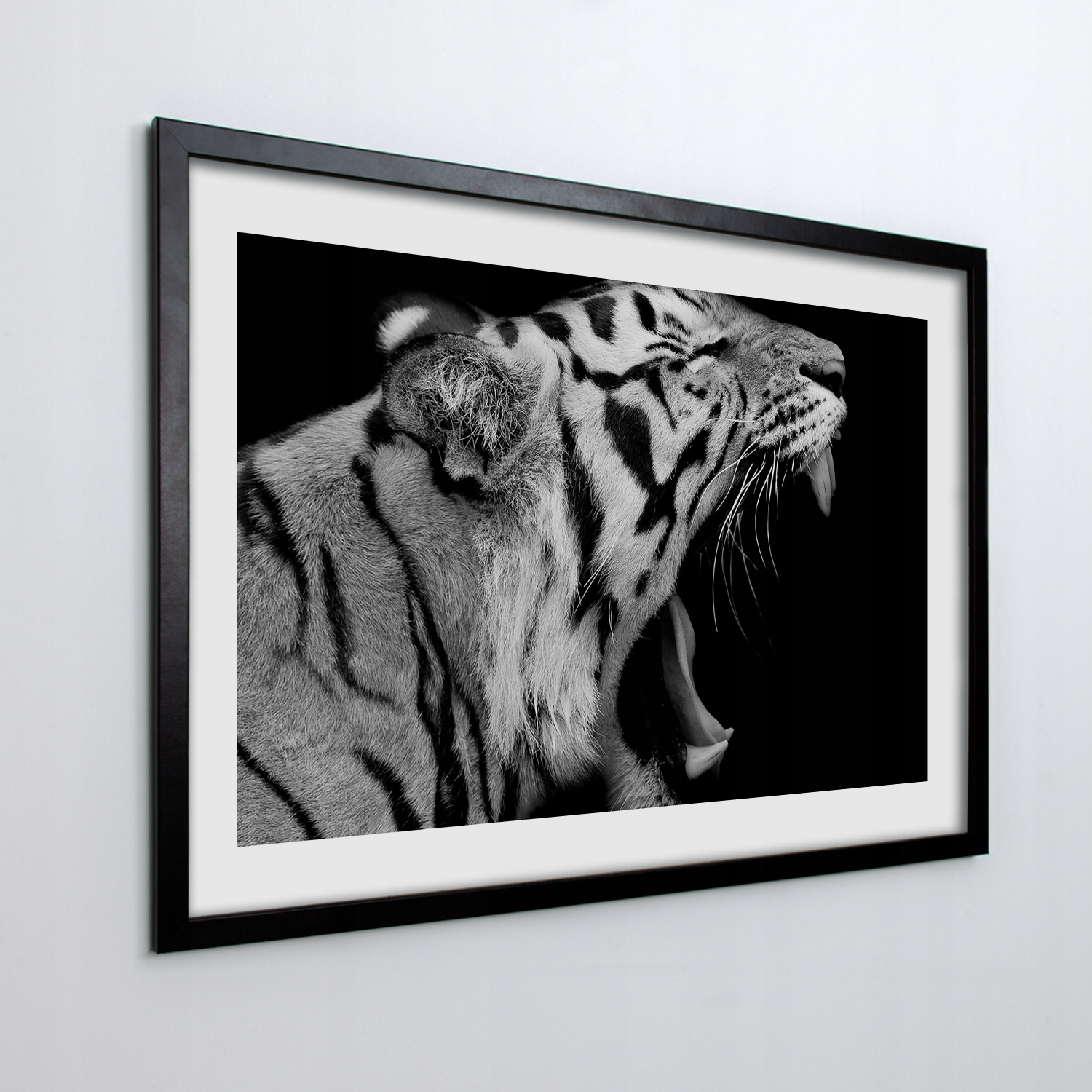 Obraz v ráme na stenu Tiger mačka zuby 100x70 cm