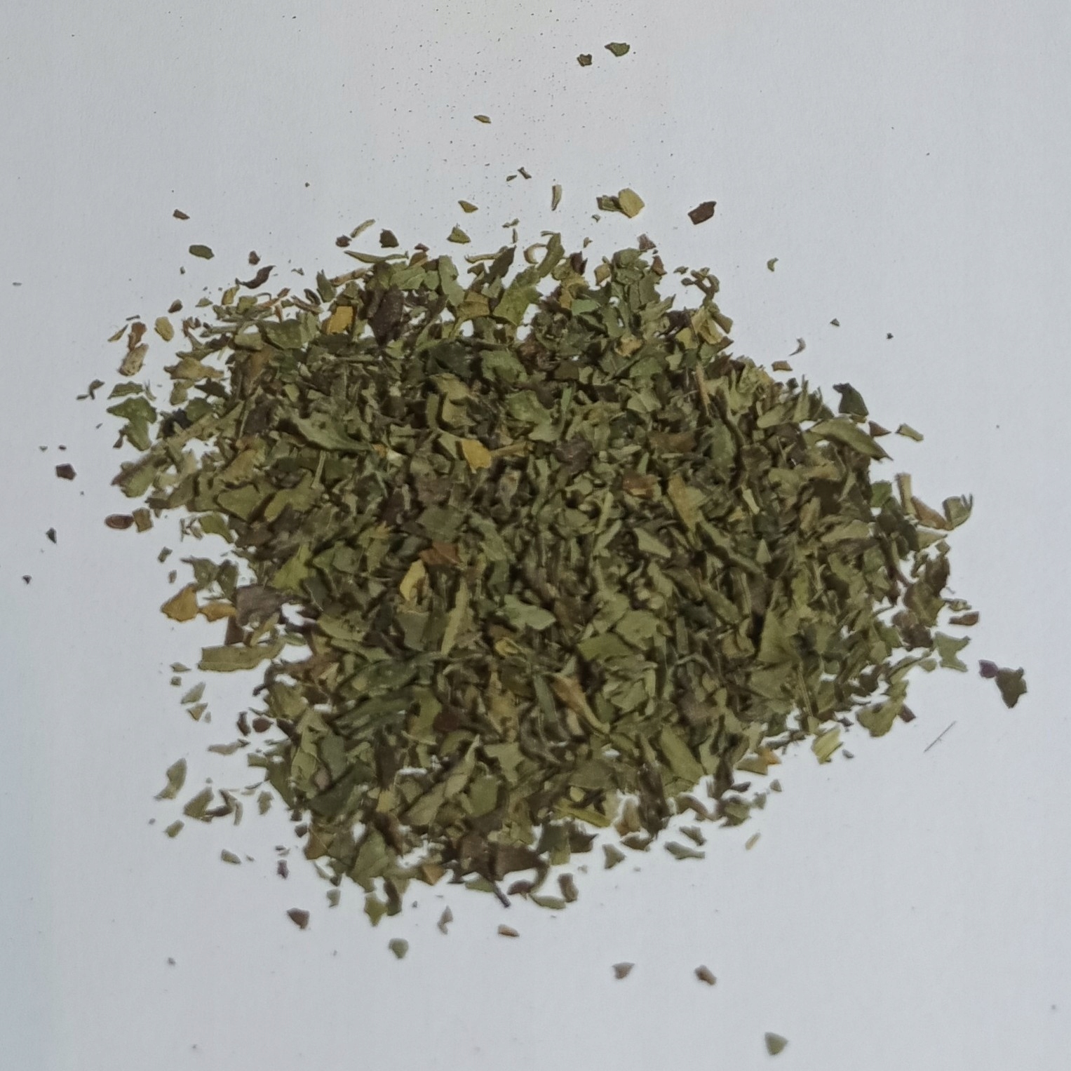 Levně Máta Citronová Novinka 1 kg Rafex