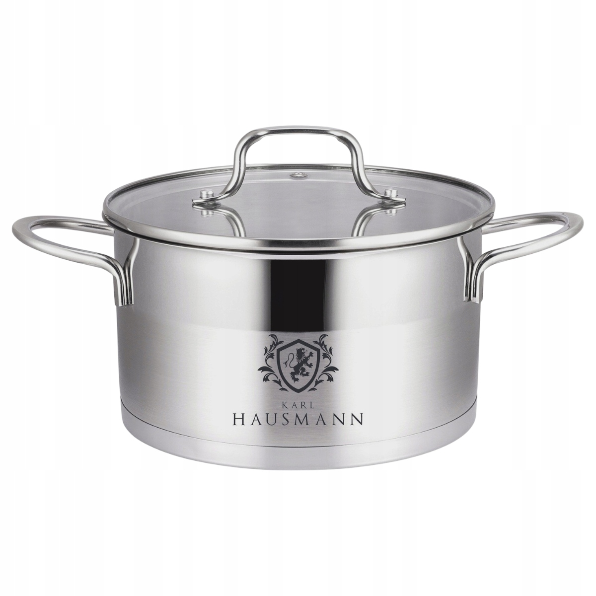 Hrnec 6,1 L S Poklicí 24 CM Nerezová Ocel Indukce Na Plyn Pevný