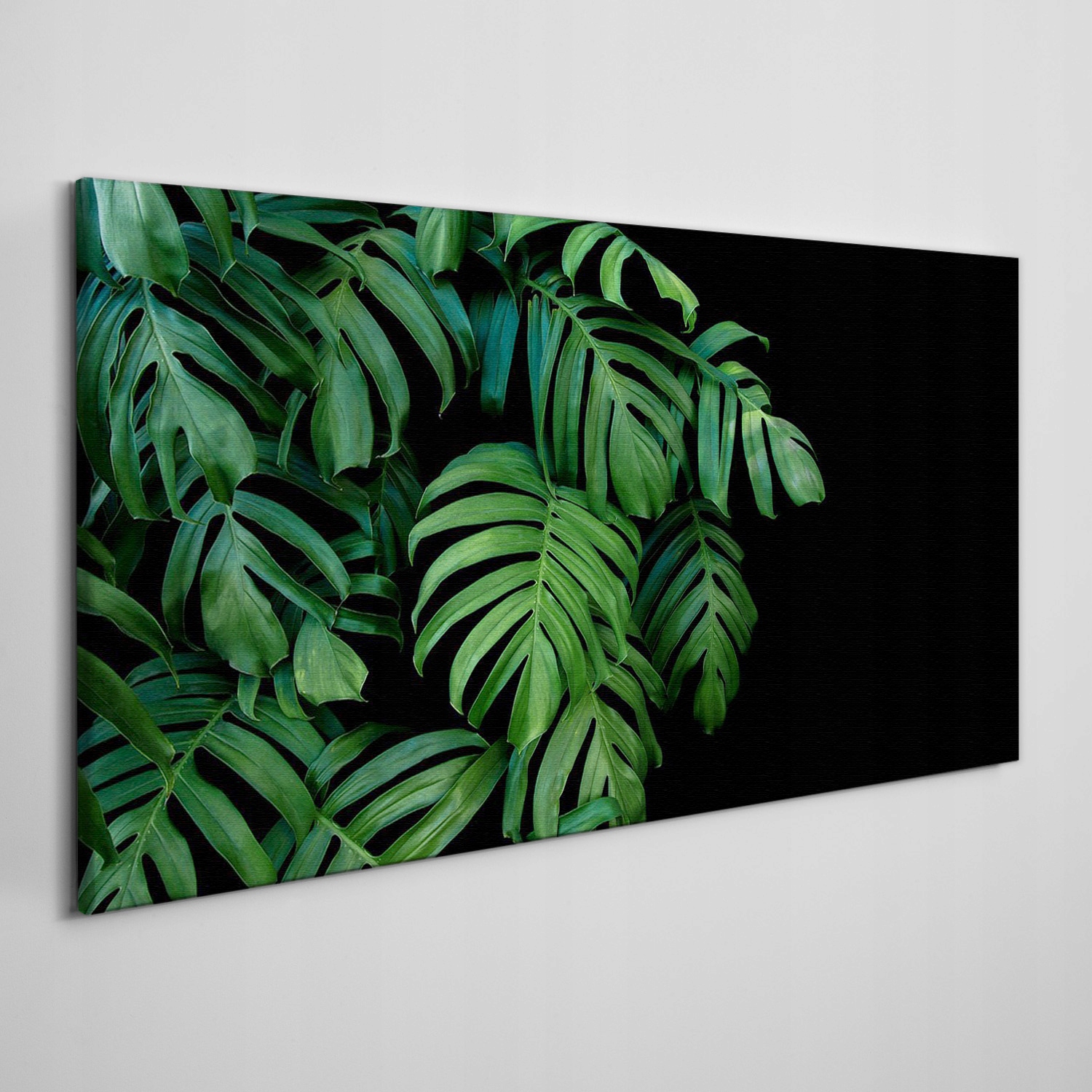 

Obraz ścienny na płótnie Liście rośliny 140x70 cm