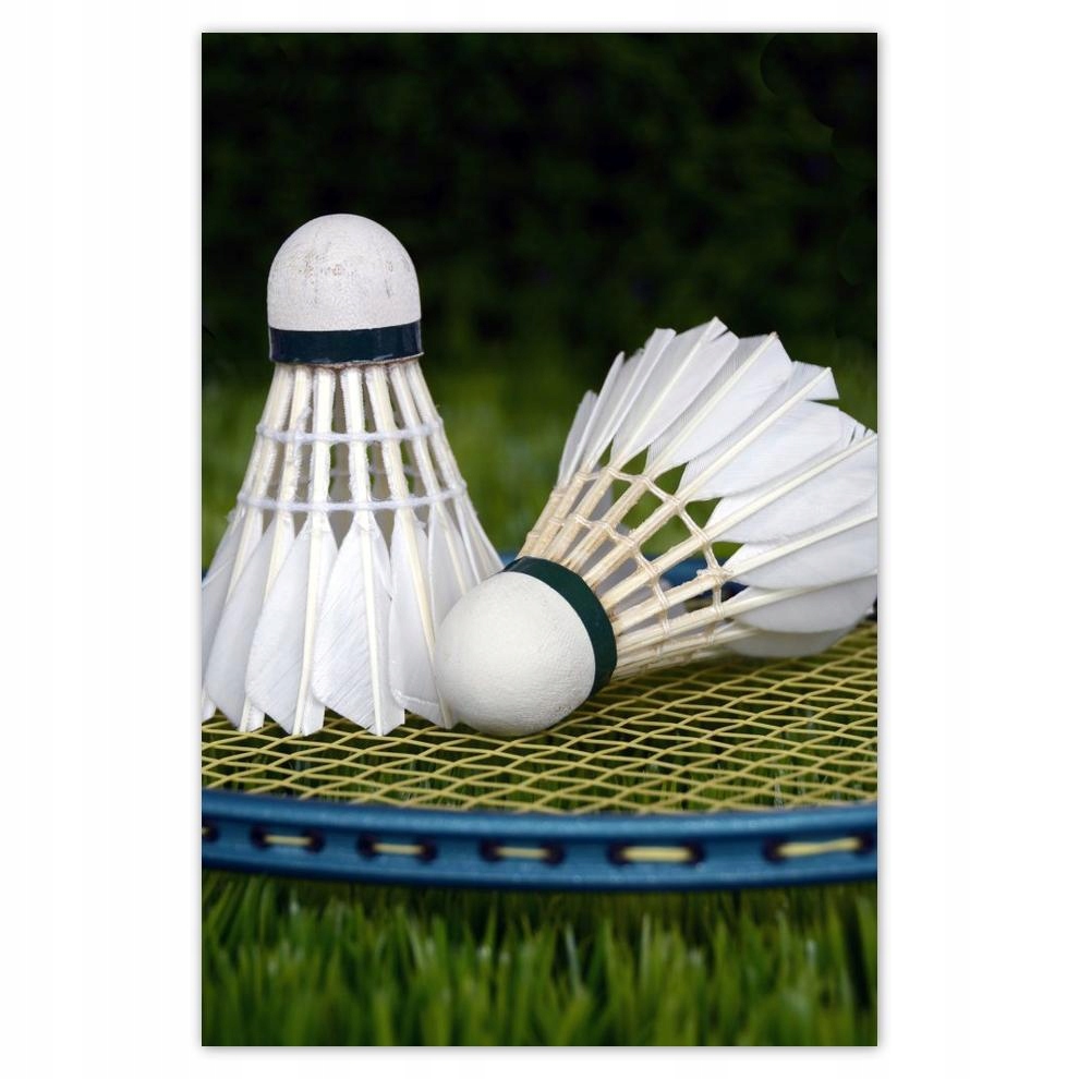 

Plakat 40x60 Paletki Lotki Badminton