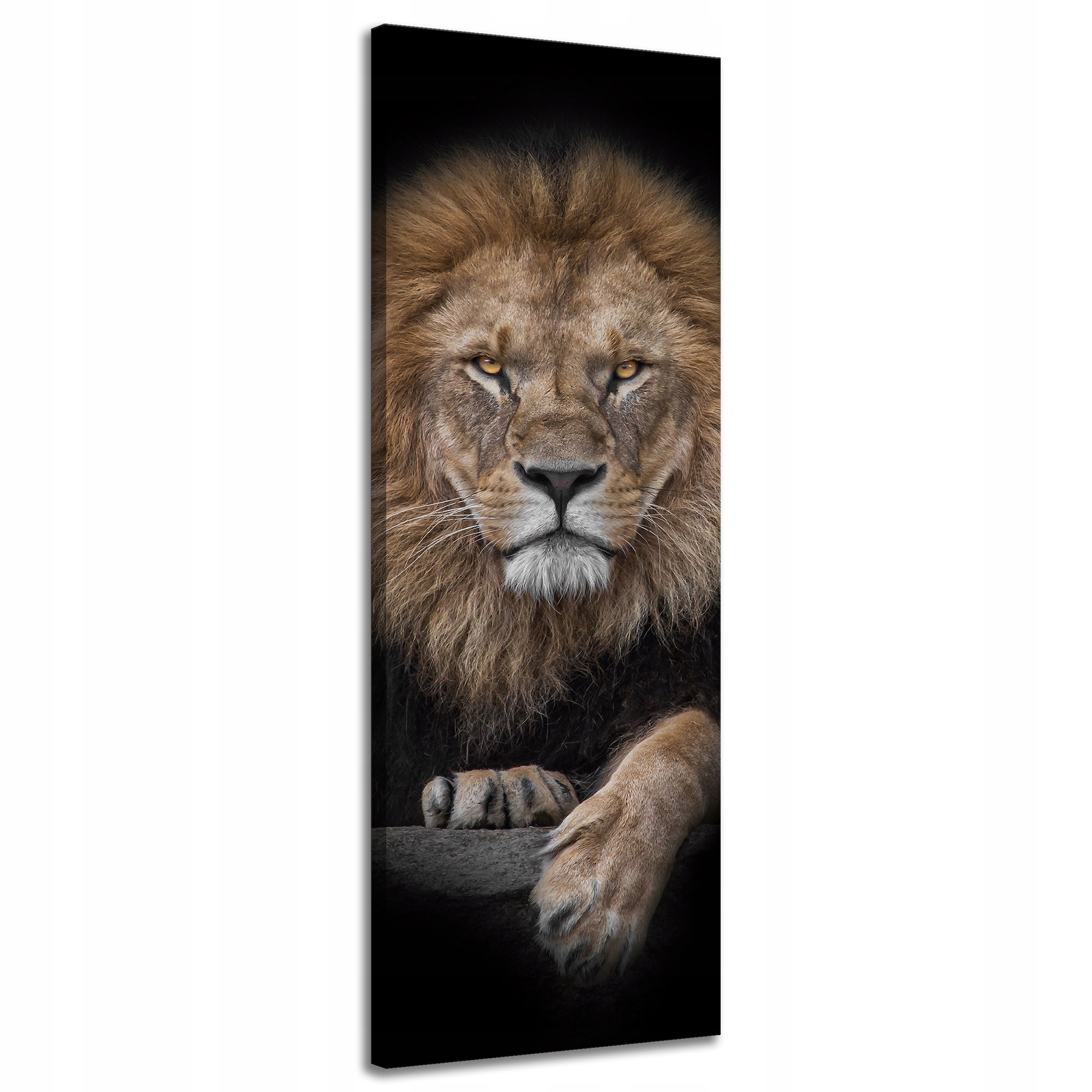 Obraz na plátně Šedý Lev Tvář Divočina 40x120 cm Ideální jako dárek