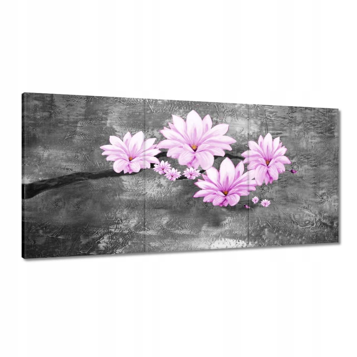 Obrazy 120x60 Květiny magnólie