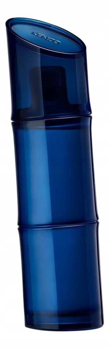 Kenzo Homme Intense Toaletní voda sprej 110 ml