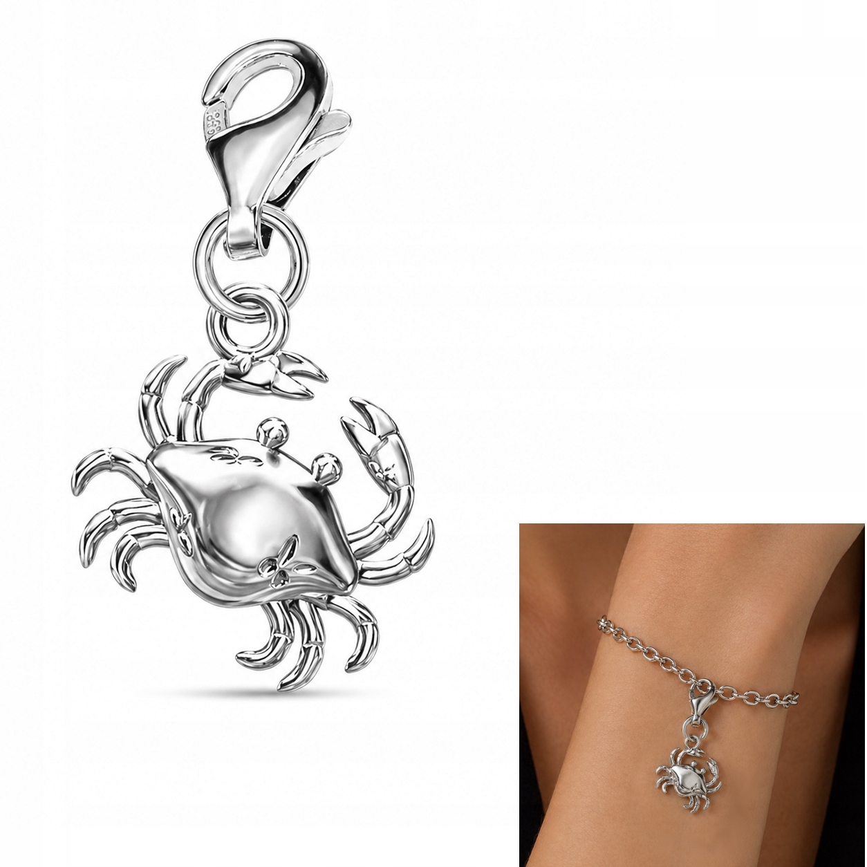 Stříbrný přívěsek na karabině Krab Symbol obnovy Stříbro 925