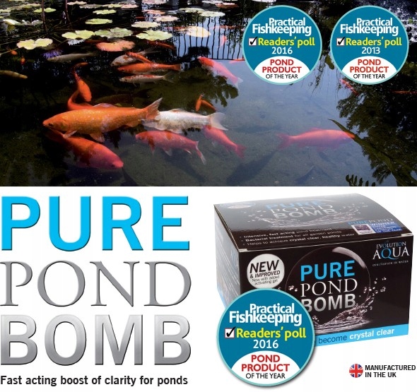 Okamžitě Čistá Voda – Přípravek – Evolution Aqua Pure Pond Bomb