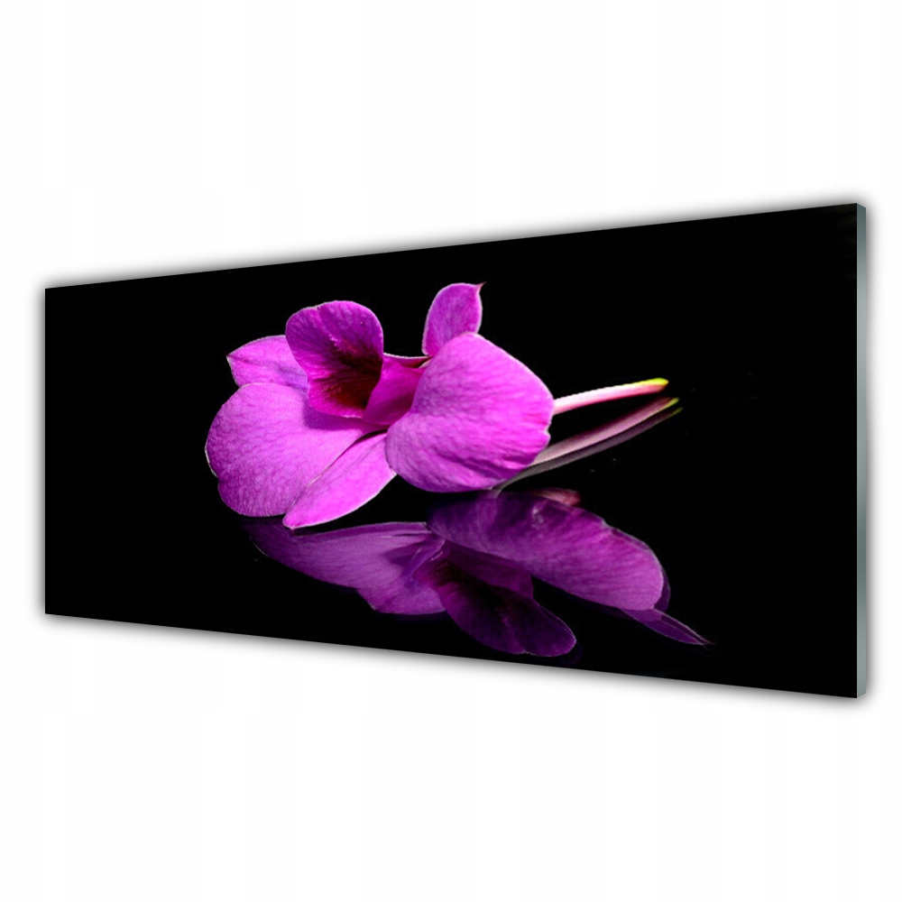 

Fotoobraz nowoczesny 125x50 Kwiaty Martwa Natura