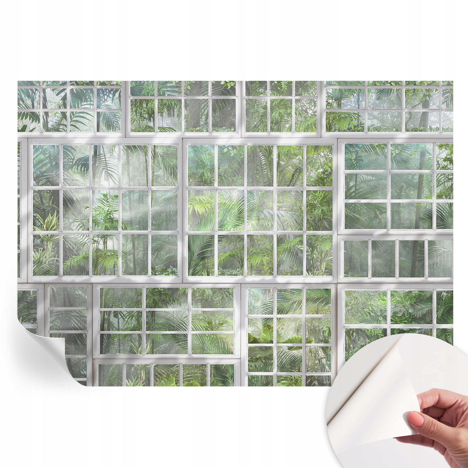 Fototapeta Dekorativní tapeta na zeď s fotografiemi Zelený les 312x219