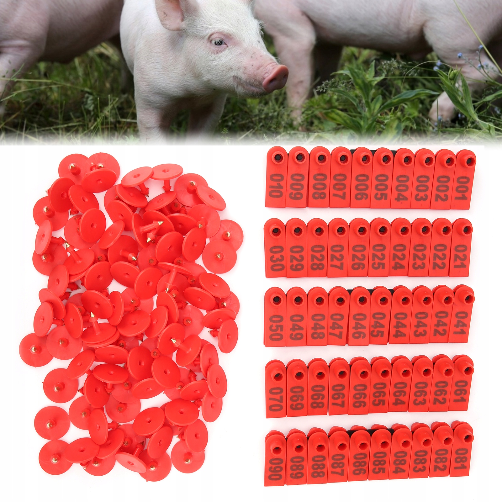 100X KOLCZYKI DLA LOCH TRZODY Z NUMERAMI Rodzaj inne akcesoria