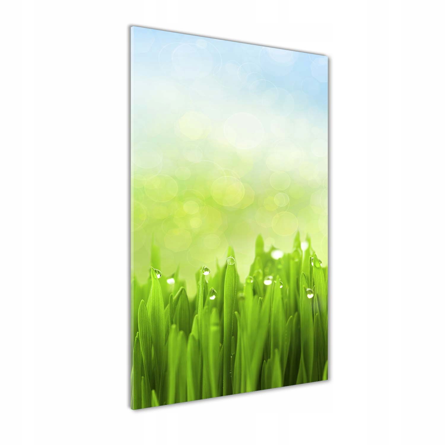 

Fotoobraz szklany na ścianę do salonu Trawa 50x100