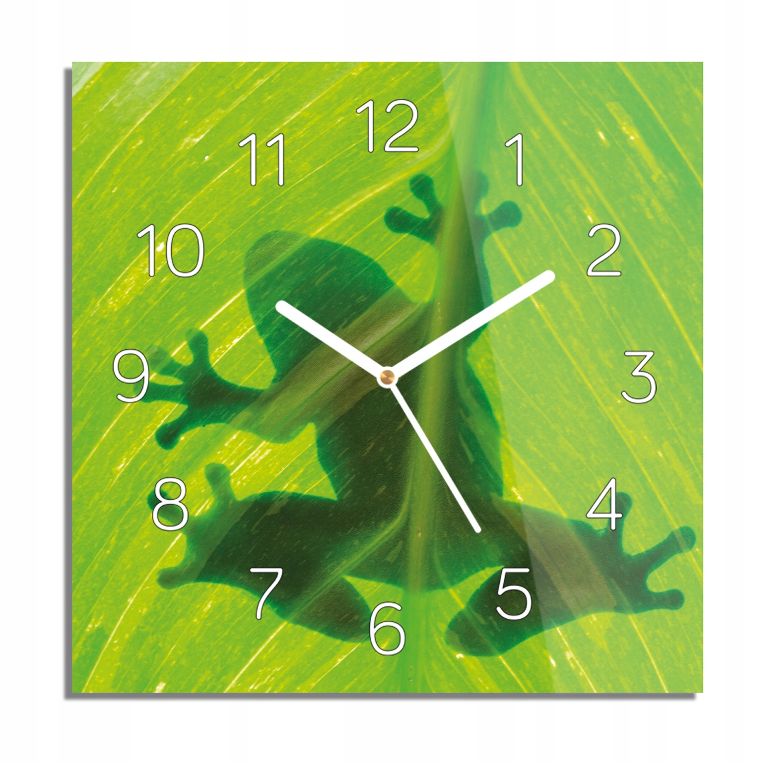 

Żaba płaz liść cień zegar na szkle cichy 30x30