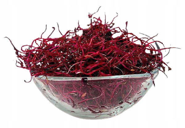 Cékla Bikavér csíráztatott mag 250g