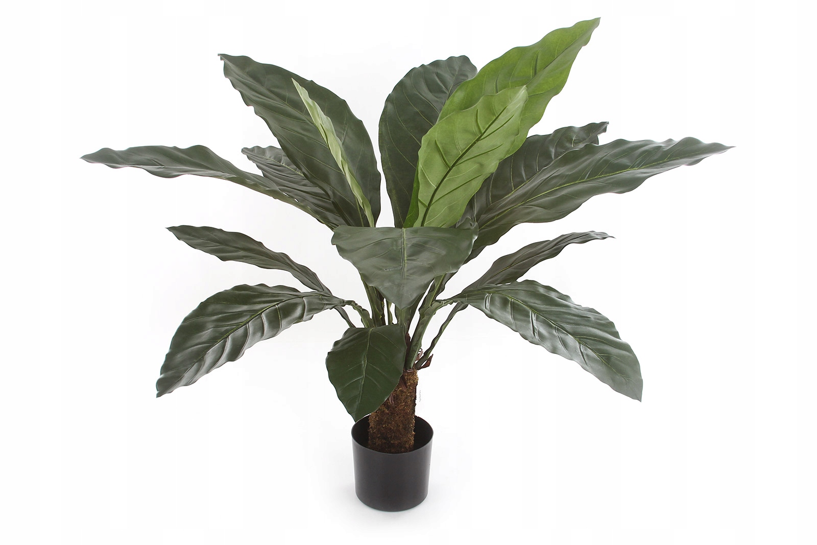 Duże Sztuczne Anthurium Jungle King Anturium 100 cm Drzewko Duże Liście