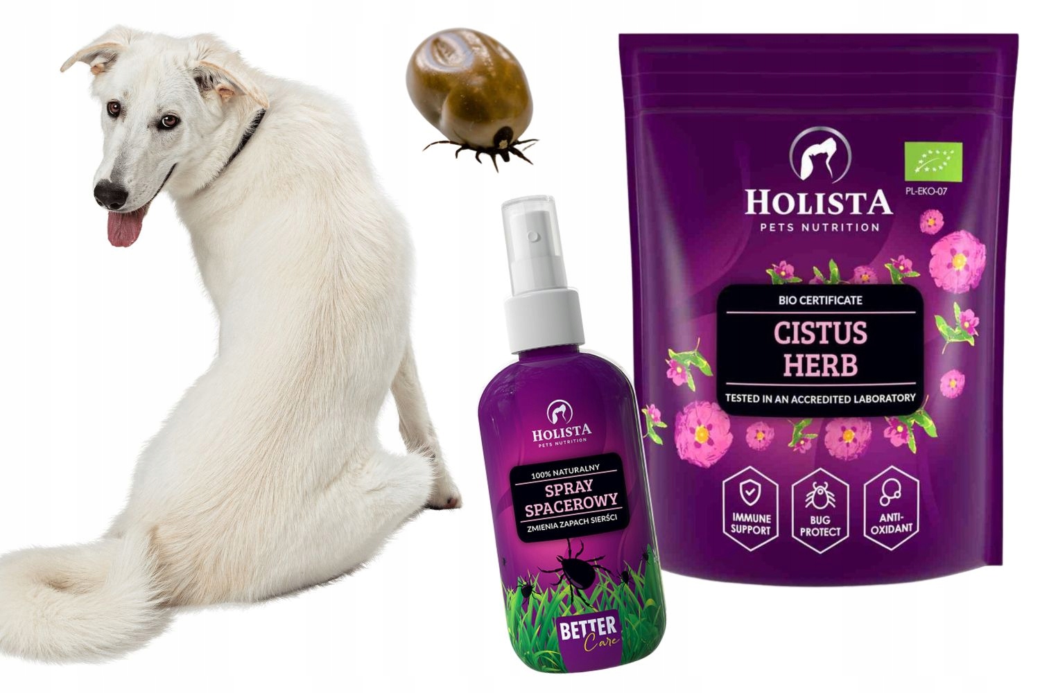 

Holista Czystek Spray nie daj się kleszczom!