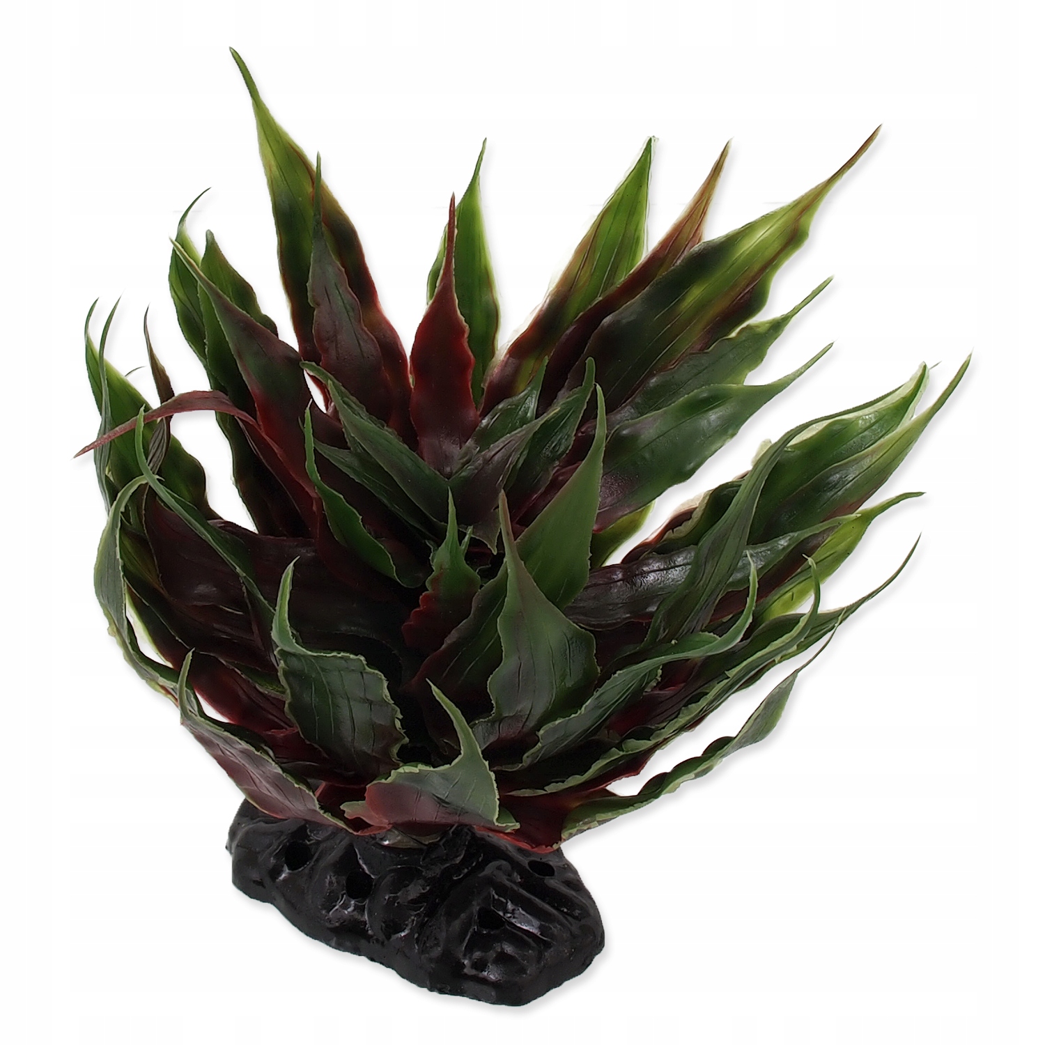 

Repti Planet Agawa sukulent zielony 18cm roślina