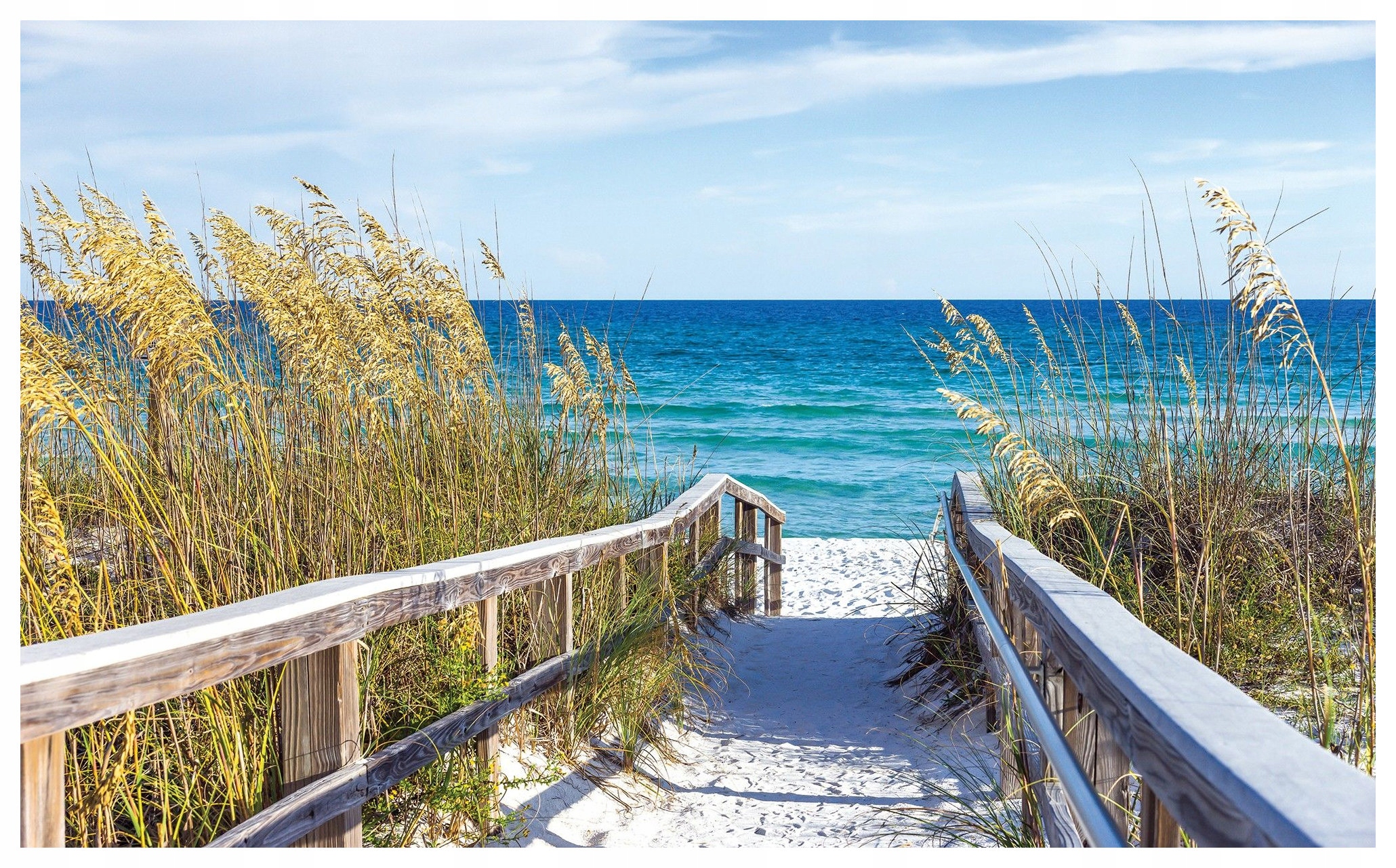 Fototapeta Pláž More Relax Azúrové Pobrežie Vinyl 208x146 Rastliny lepidlo